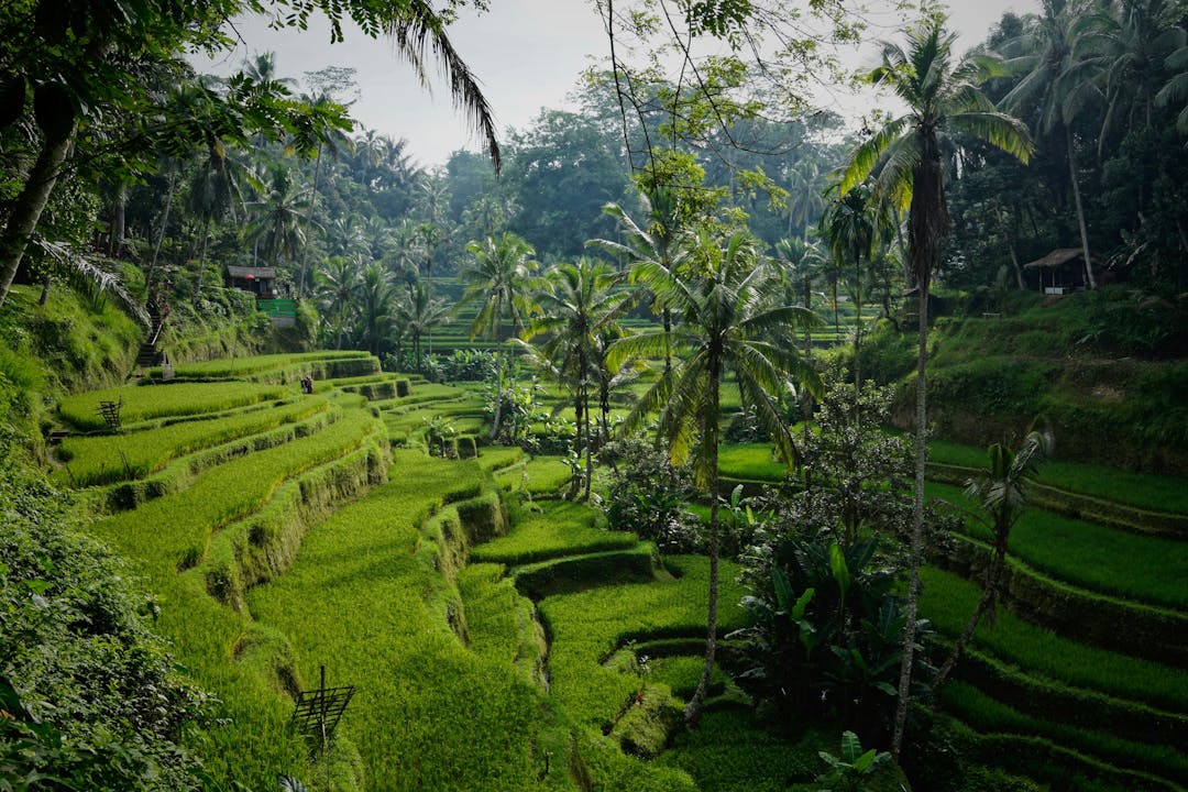 bali images